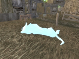 Un cadavre de loup...